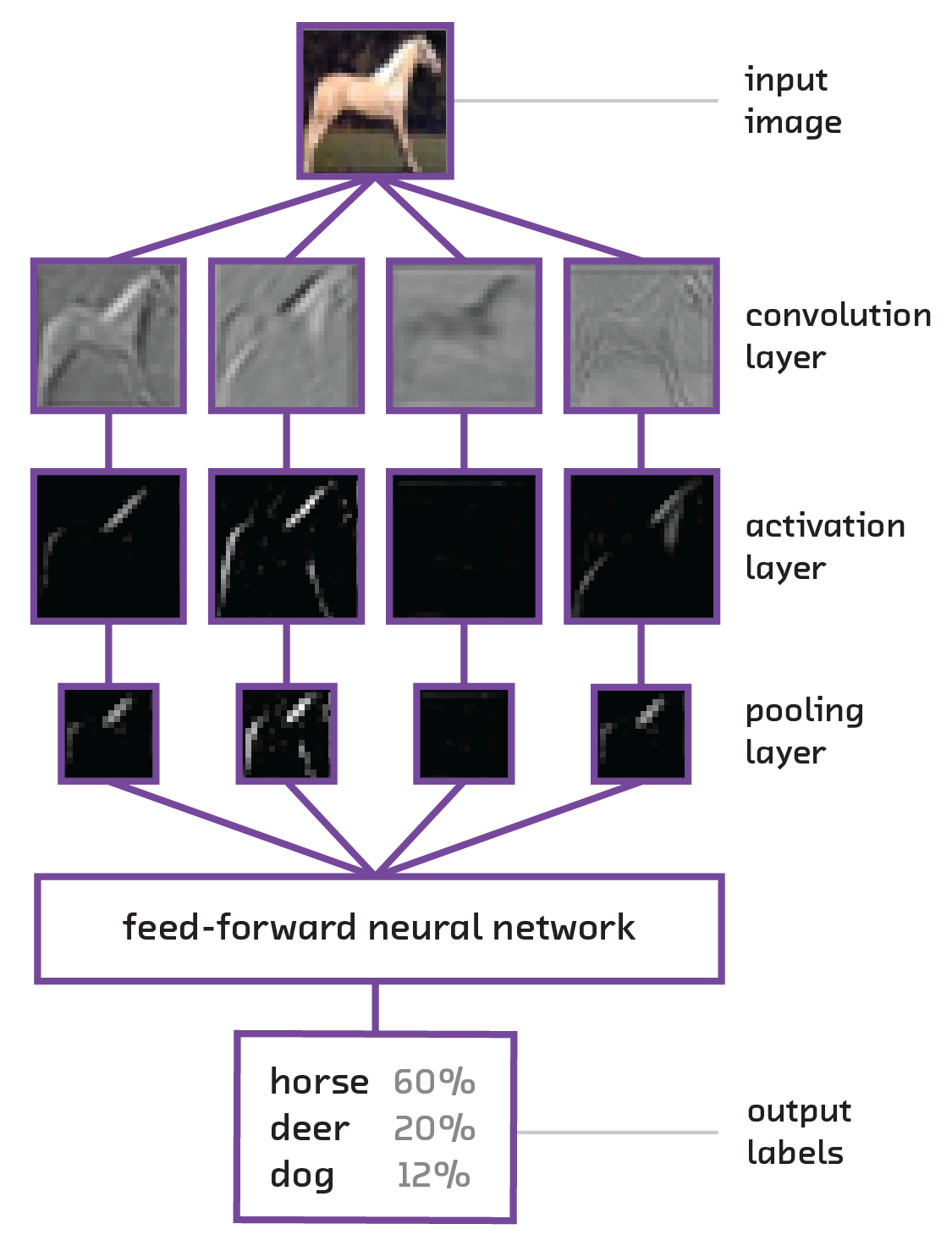 Figure of Convolutional Neural Network showing the processing of an image of a horse